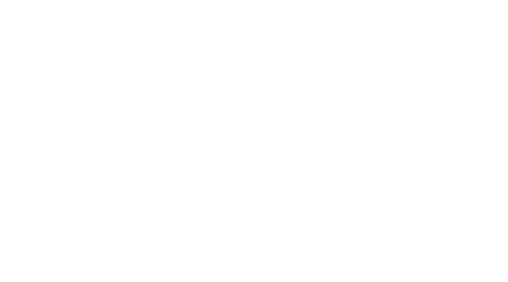 Two Business Models
